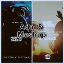 What We Live For Can't Feel My Face(Ada_& Mashup)专辑