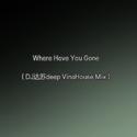 Where Have You Gone（DJ达苏deep VinaHouse Mix）