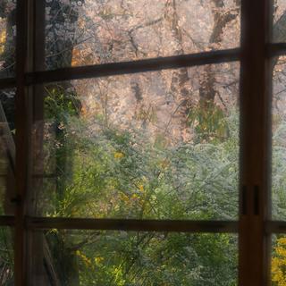 「幽聆记」 · 一份给耳朵的淡茶