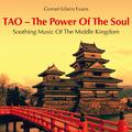 TAO - The Power of the Soul: Soothing Music of the Middle Kingdom