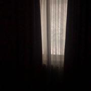 乌合之众