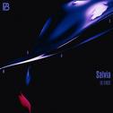 Salvia -Anime Size-专辑