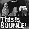 This Is BOUNCE!