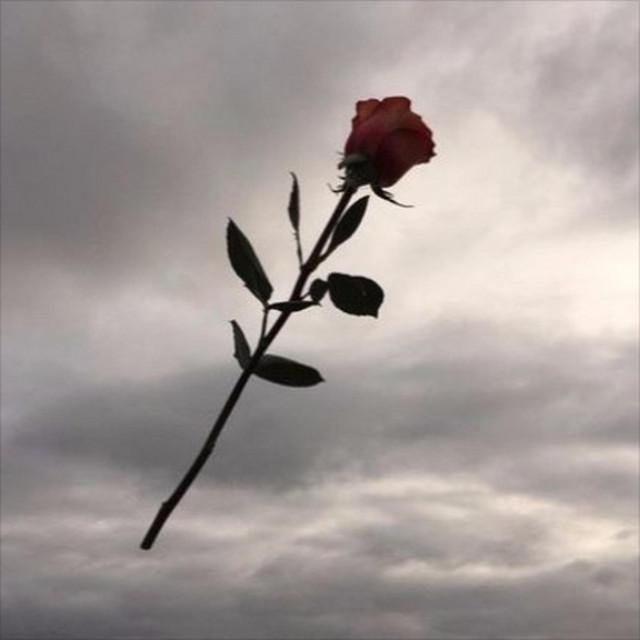 【免费伴奏，不等于白嫖】yuzion type beat