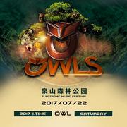 Owls猫头鹰电音节主题曲