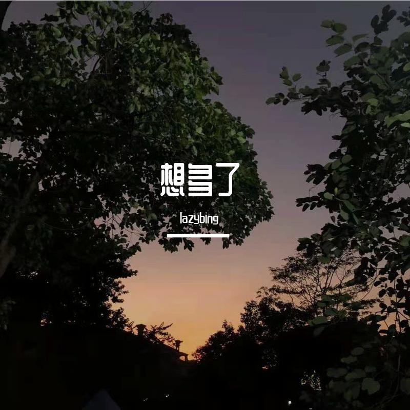 想多了(Prod.Shuk)