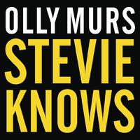 Stevie Knows - Olly Murs (unofficial Instrumental) 无和声伴奏