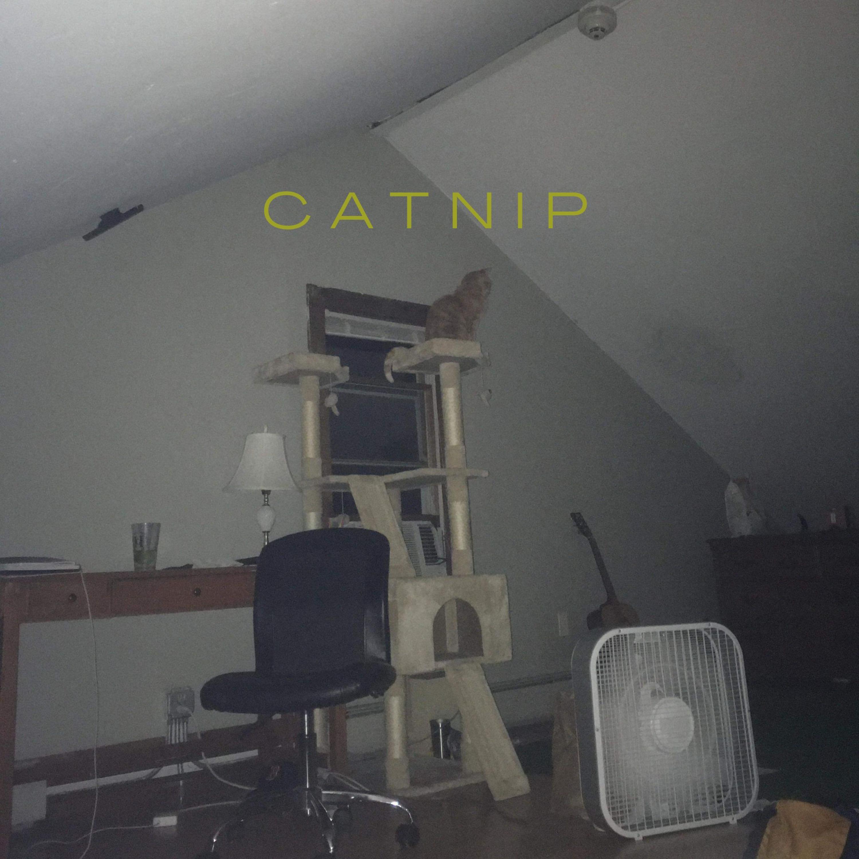 Catnip