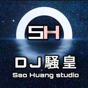 大中国 DJ 恋爱的旋律（DJ 騒皇 / 叀刈 remix）