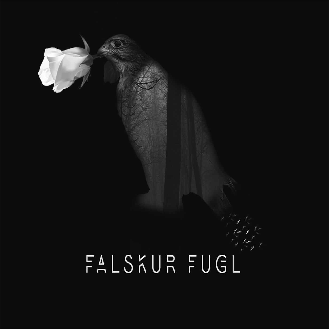 Falskur fugl专辑