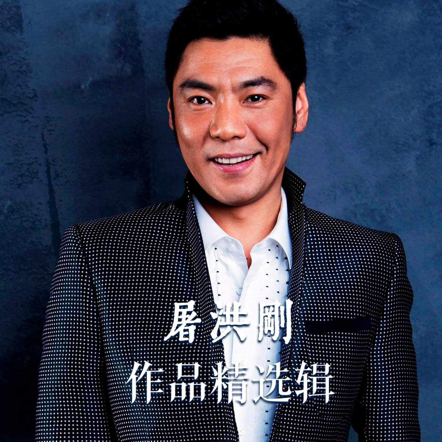 屠洪刚 作品精选集