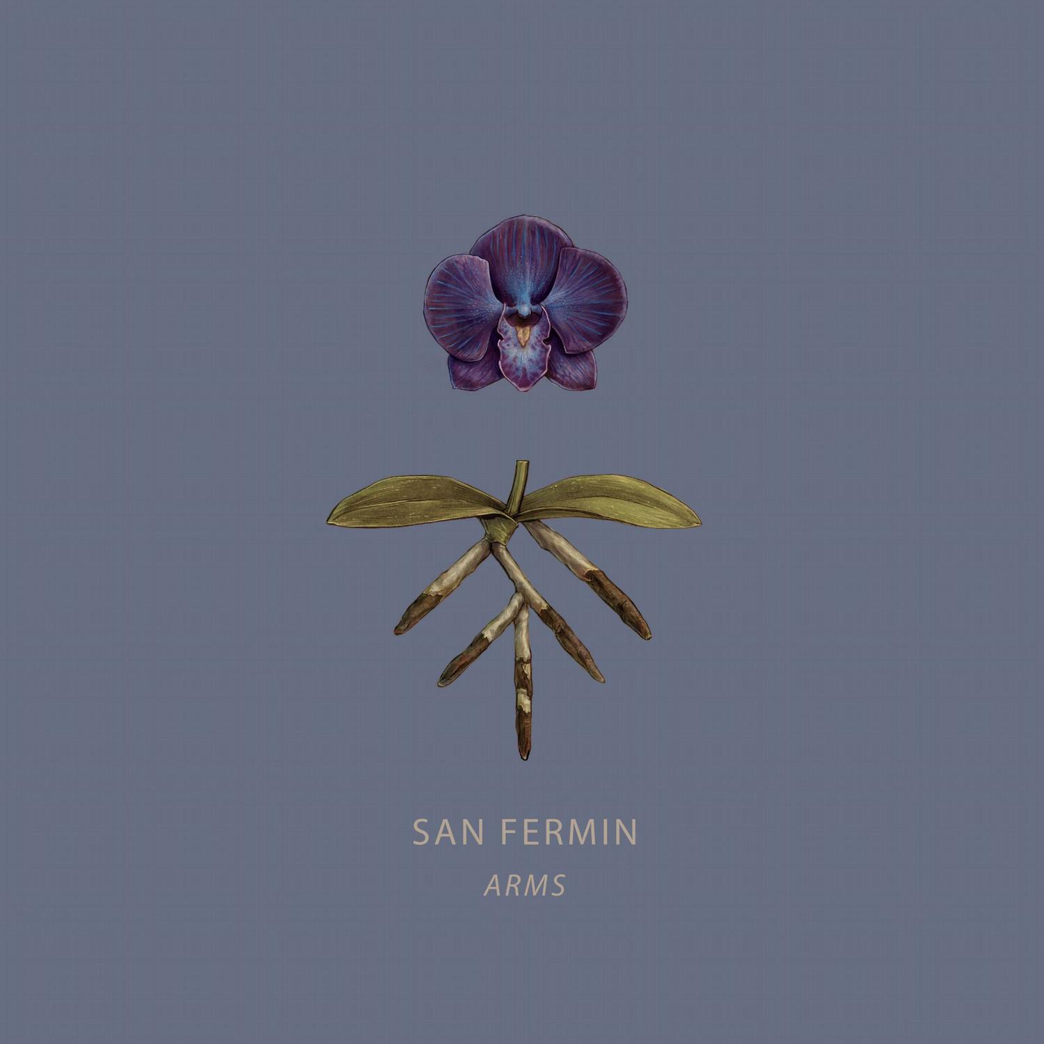 San Fermin - Useful Lies