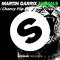 Martin Garrix - Animals（Chancy Filp）专辑