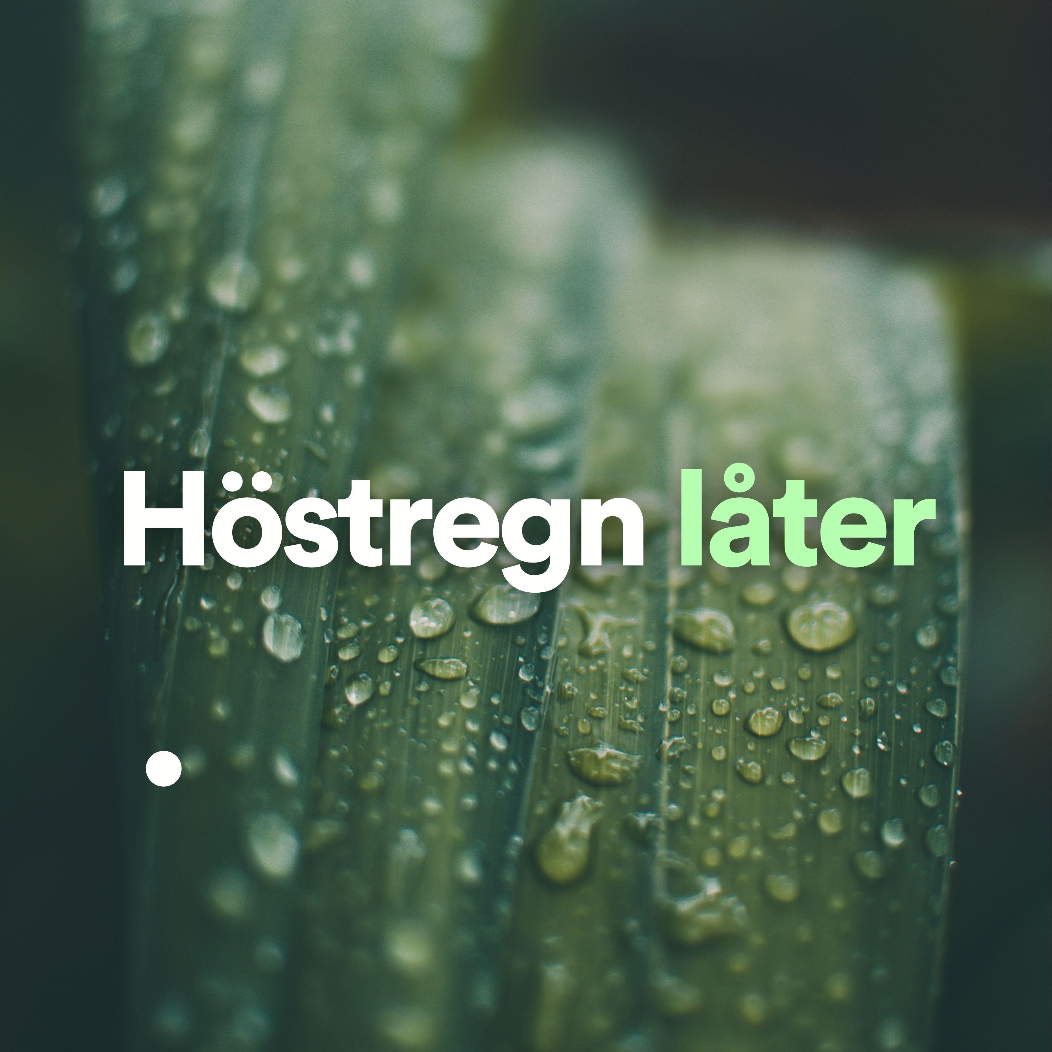 Höstregn låter