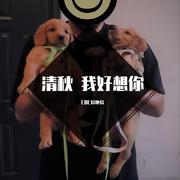 清秋 我好想你