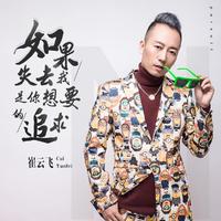 崔云飞 - 失去你失去整个世界 (带伴唱) 伴奏