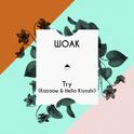 Try (Kazoow & Helio Kiyoshi)专辑