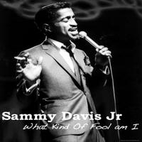 What Kind Of Fool Am I - Sammy Davis Jr (karaoke)