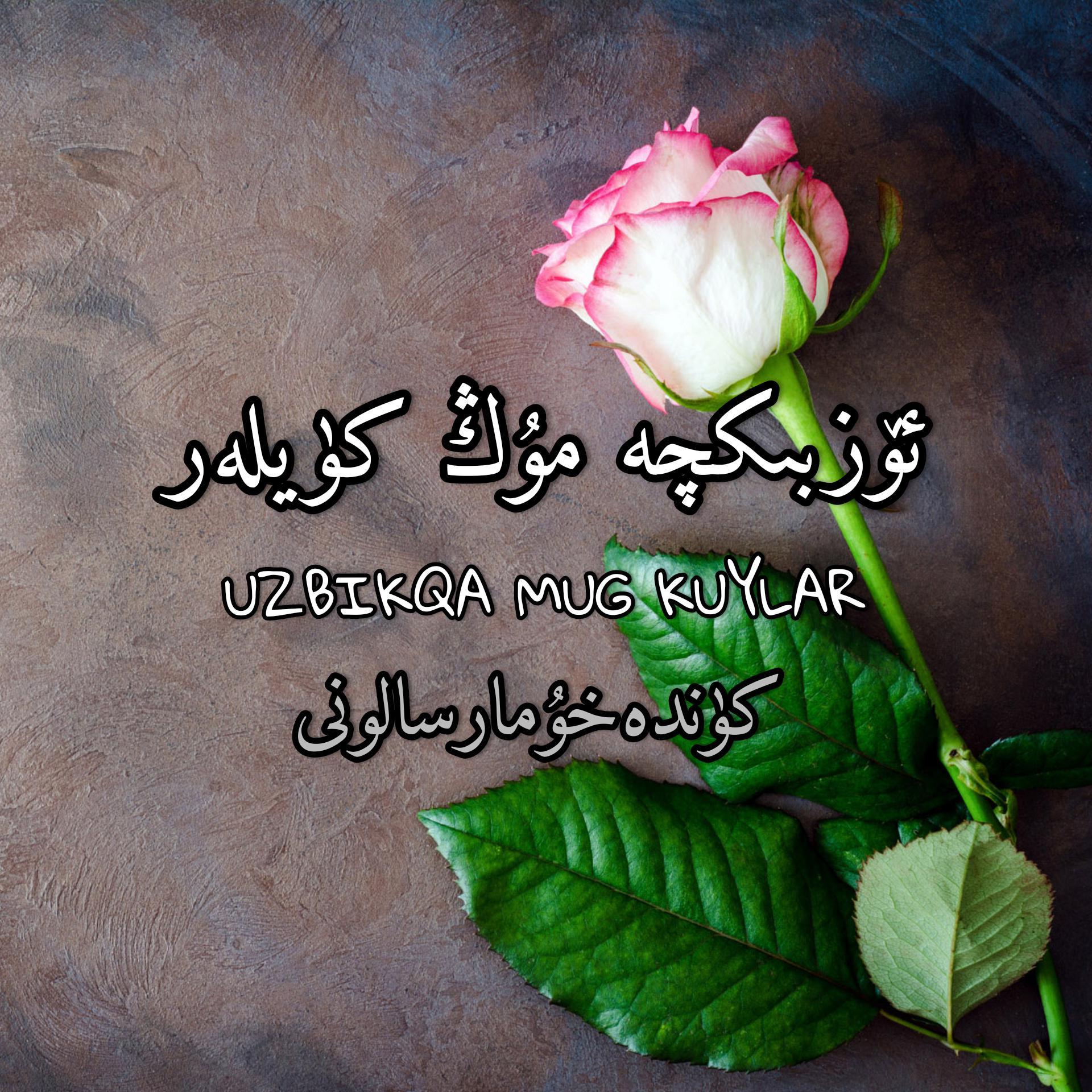 ئۆزبىكچە مۇڭ كۈيلەر