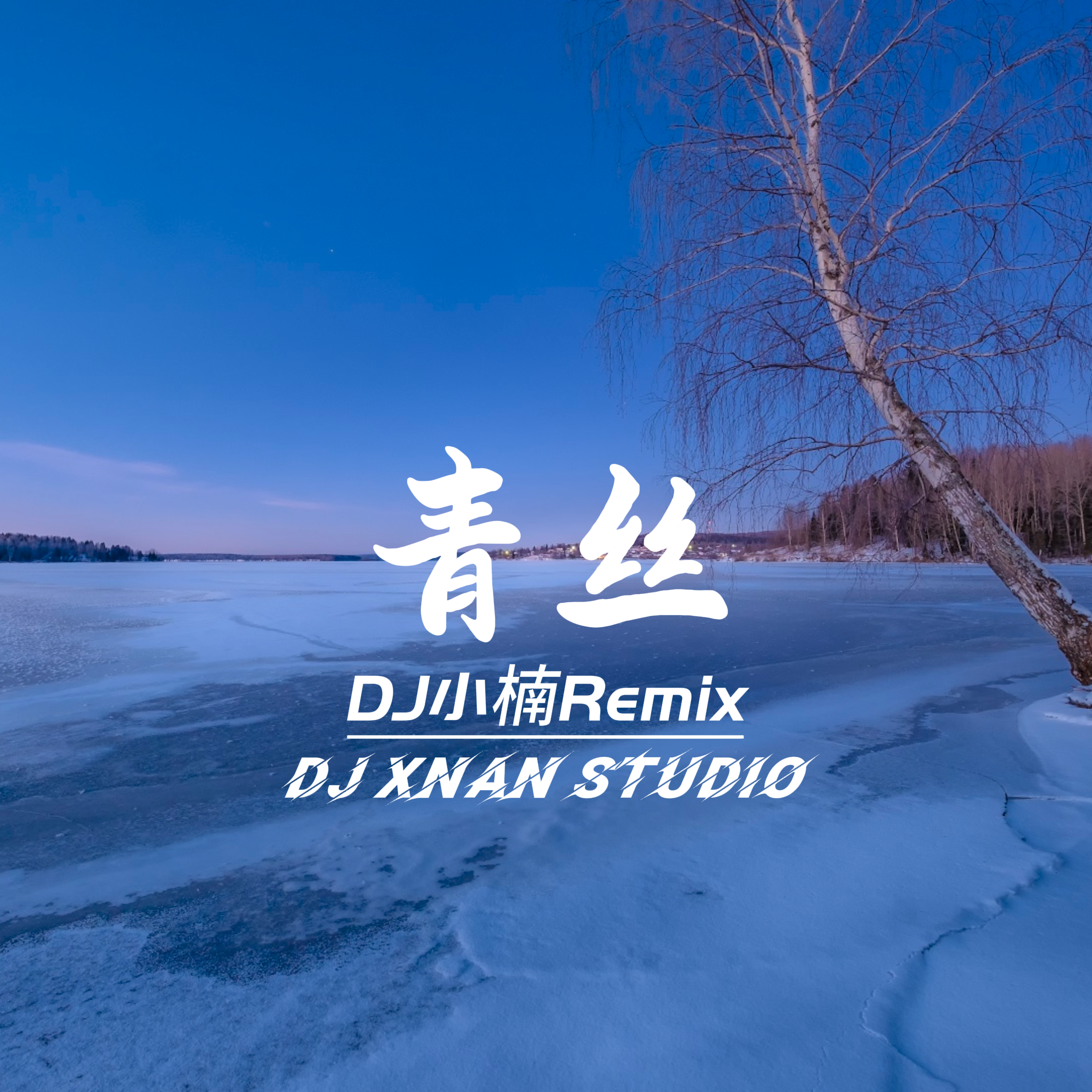青丝(DJ小楠Remix)