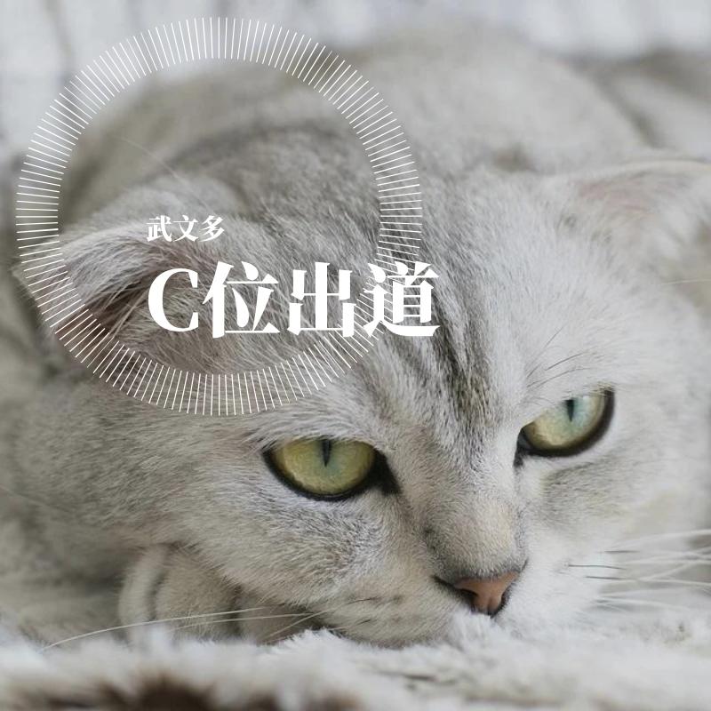C位出道