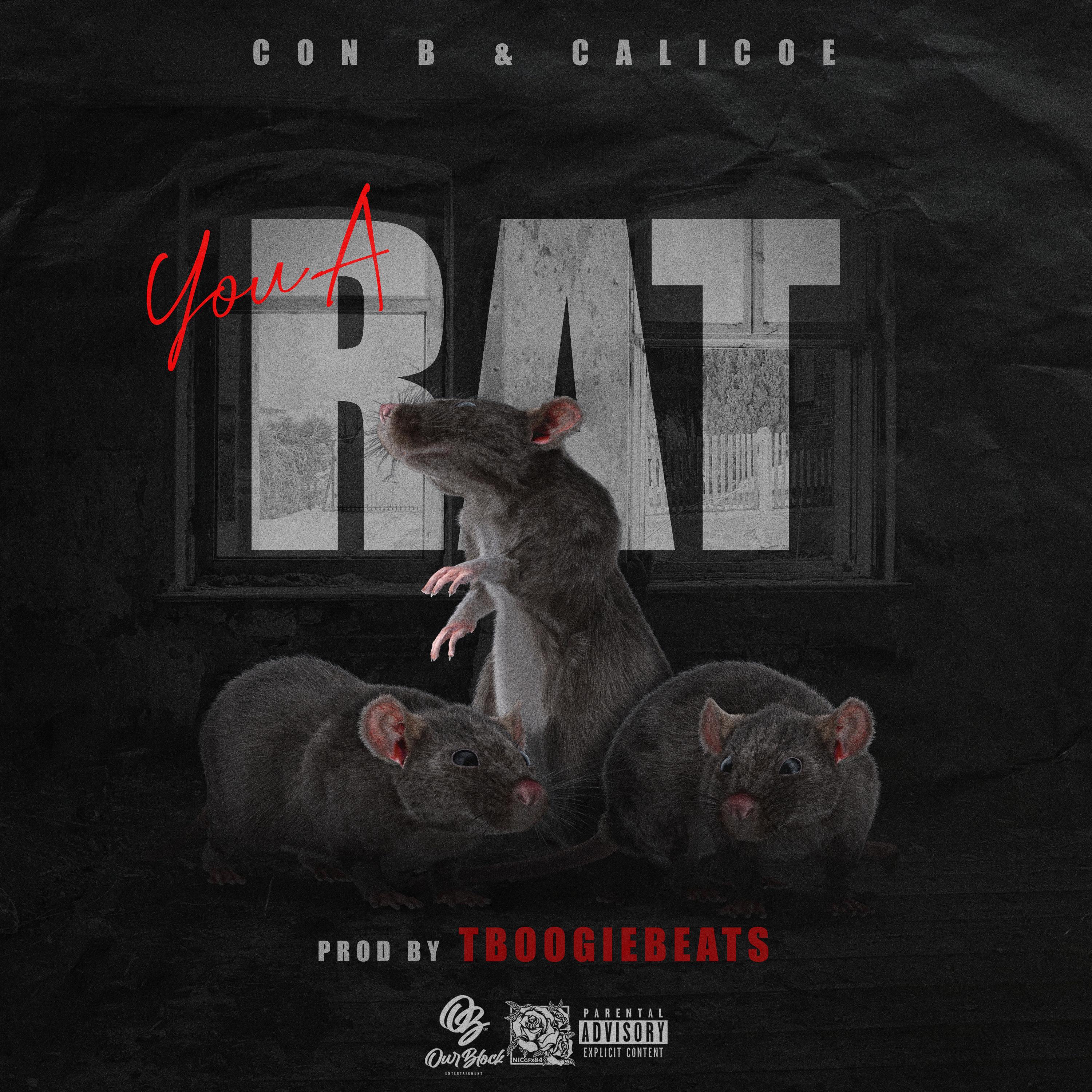 Con B - You A Rat