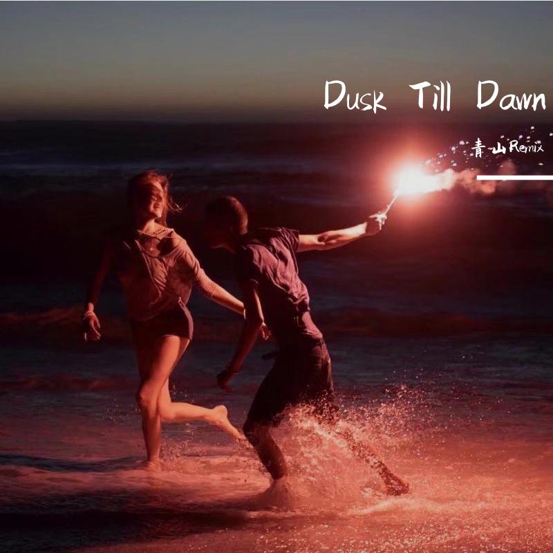 Sia-Dusk Till Dawn (Bootleg)（9ZTQS remix）
