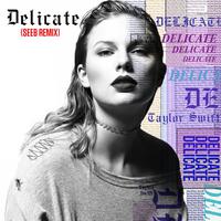 Seeb Remix Taylor Swift Delicate 伴奏 重混音伴奏 完美好音质 细节和声