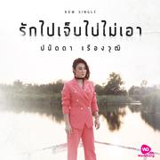 รักไปเจ็บไปไม่เอา - Single