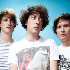 The Wombats