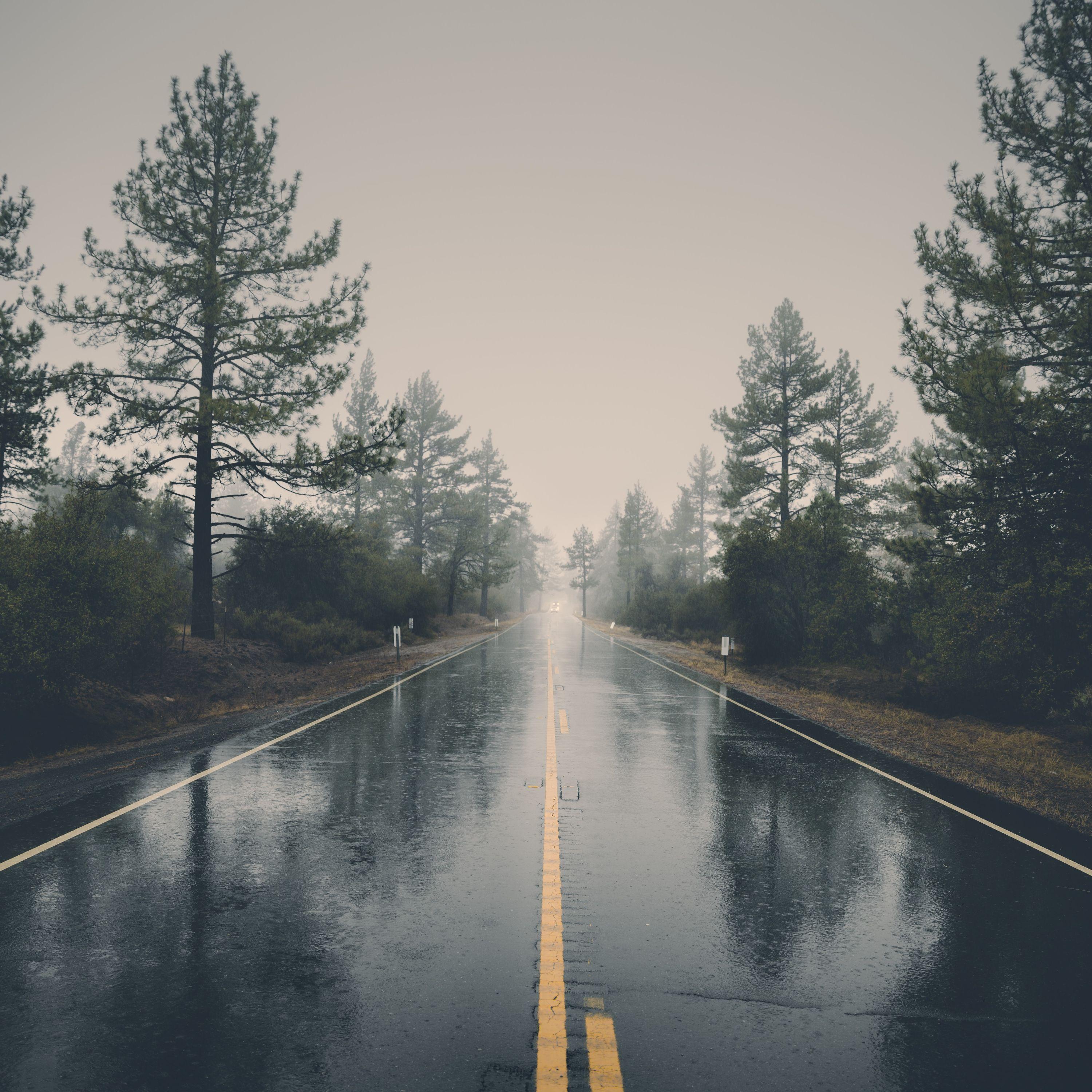 Dawn Melodies | Meditation and Relaxation