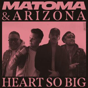 Matoma & Arizona - Heart so Big (BB Instrumental) 无和声伴奏 （降2半音）