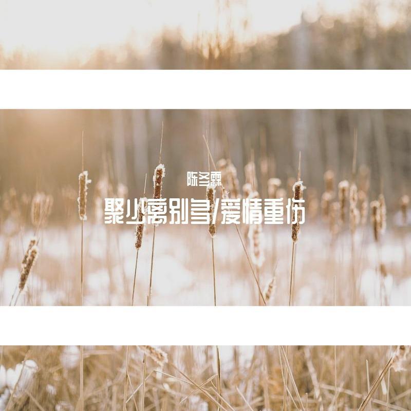 聚少离别多/爱情重伤