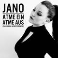 Atme Ein Atme Aus (Charming Horses Remix)