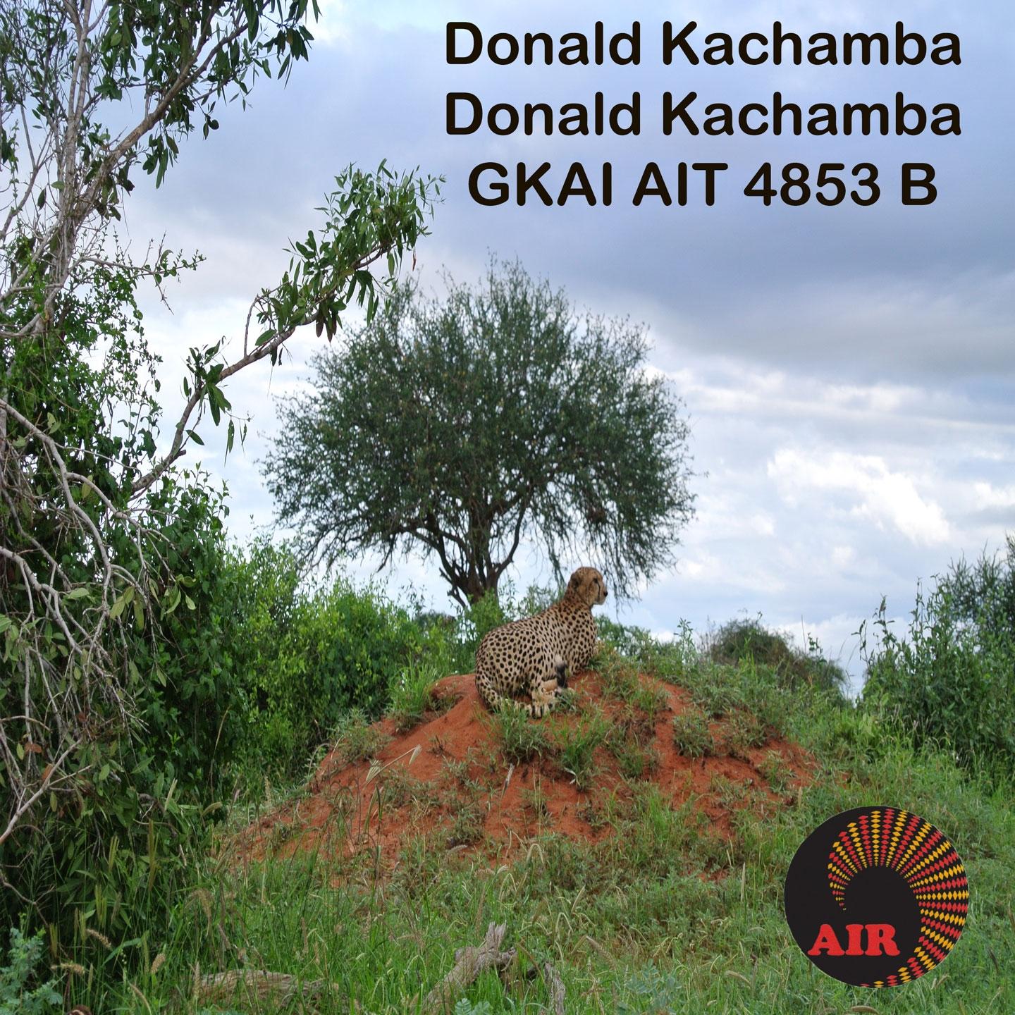 Donald Kachamba