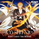Won’t Leave You Behind专辑