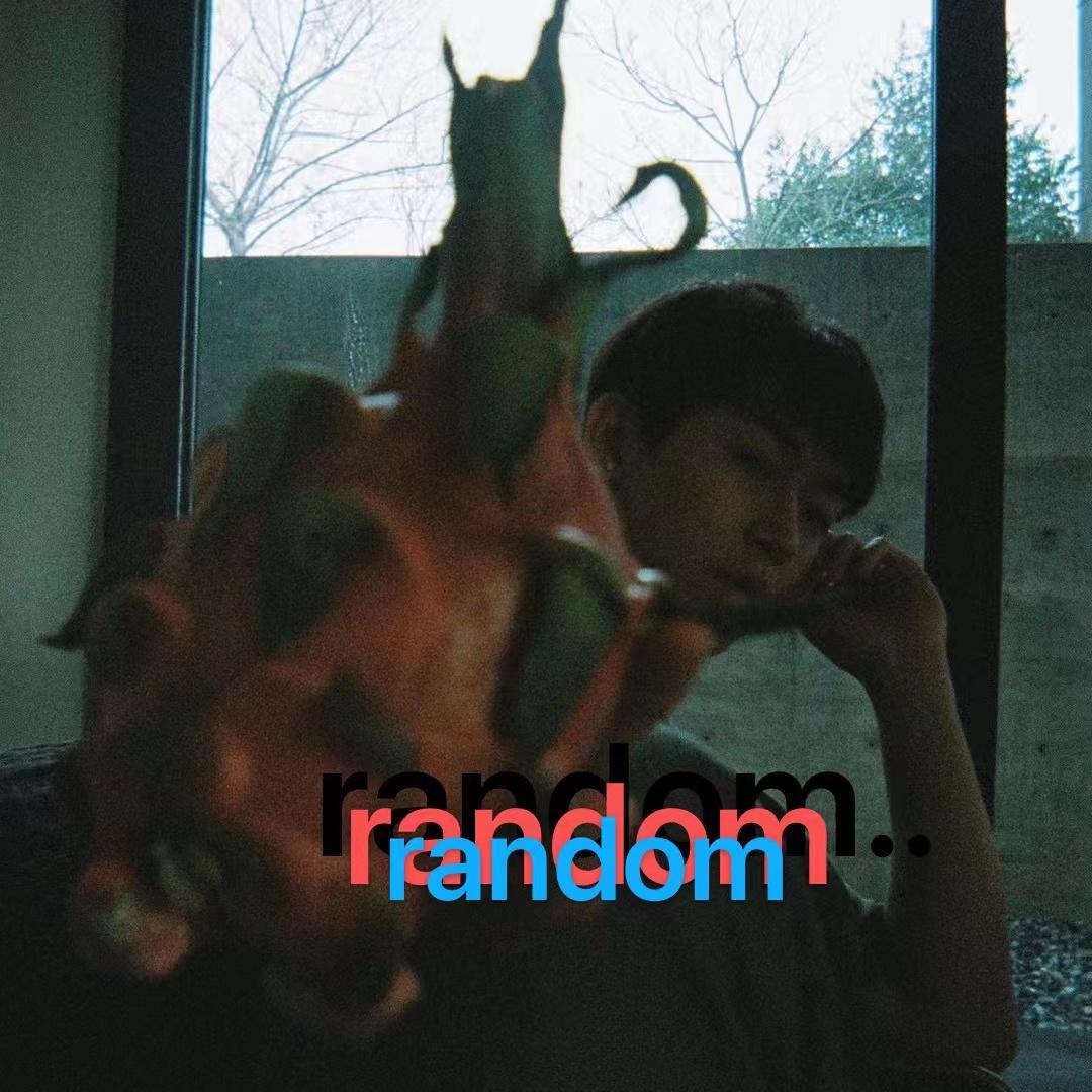 随机