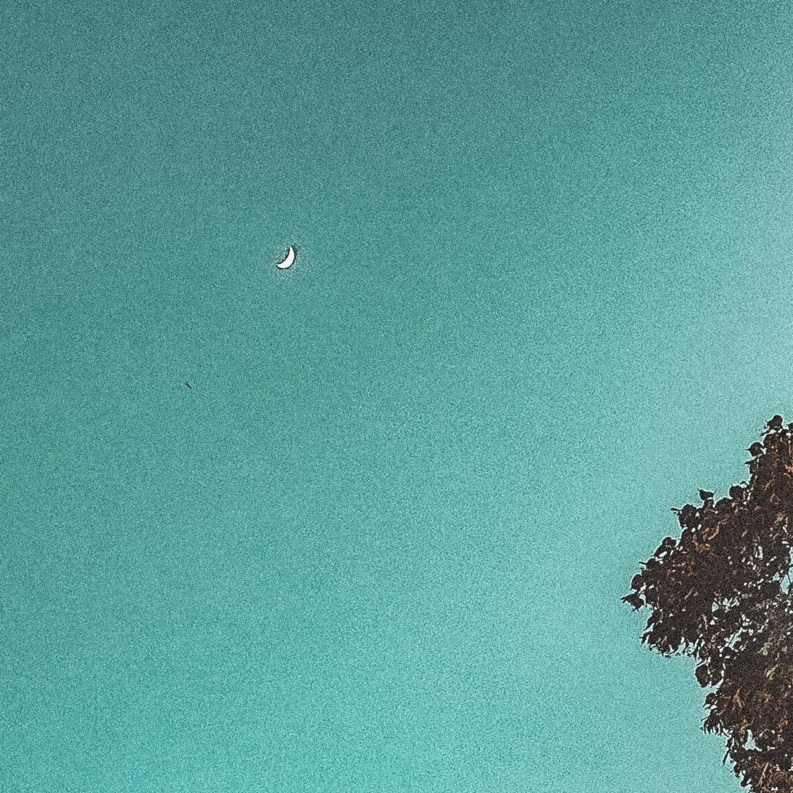 Last Night I Dreamed Of You Again