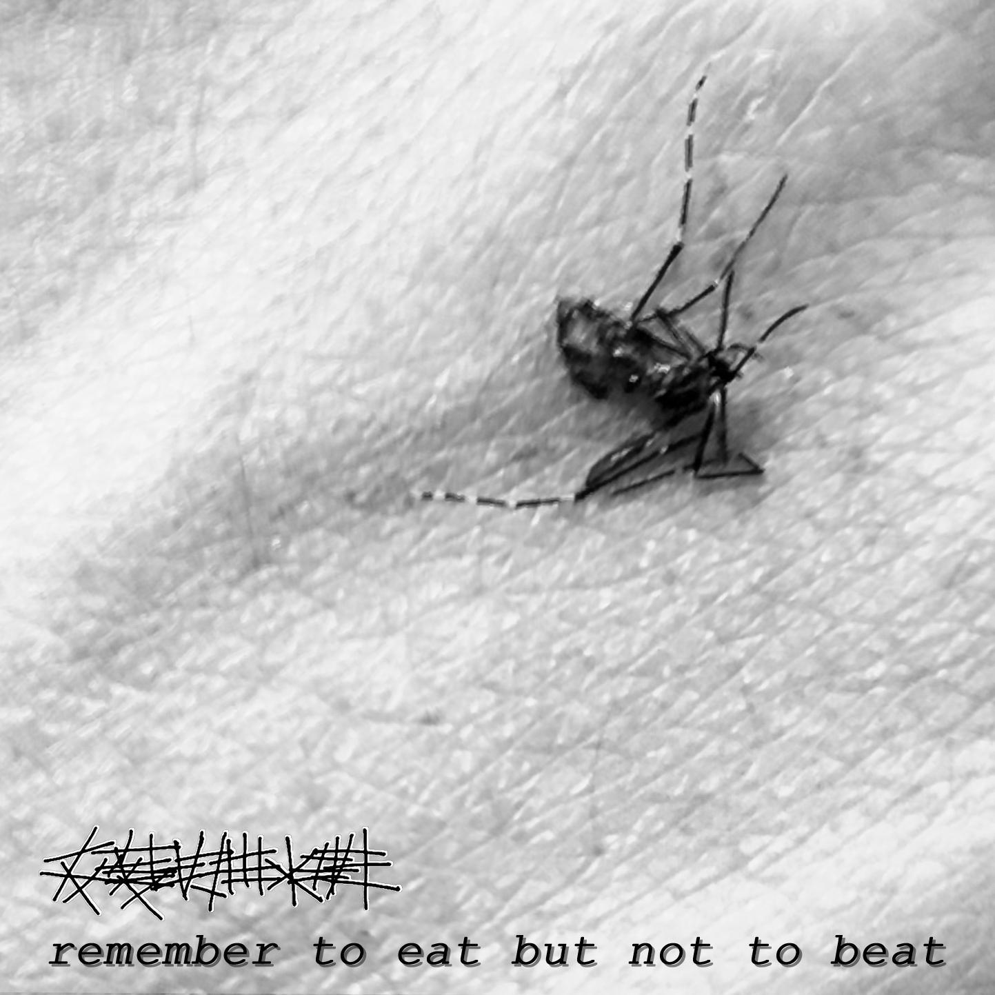 反复攻击小明歌曲封面