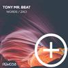 Tony Mr. Beat - Words