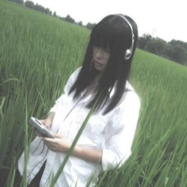 插头恋