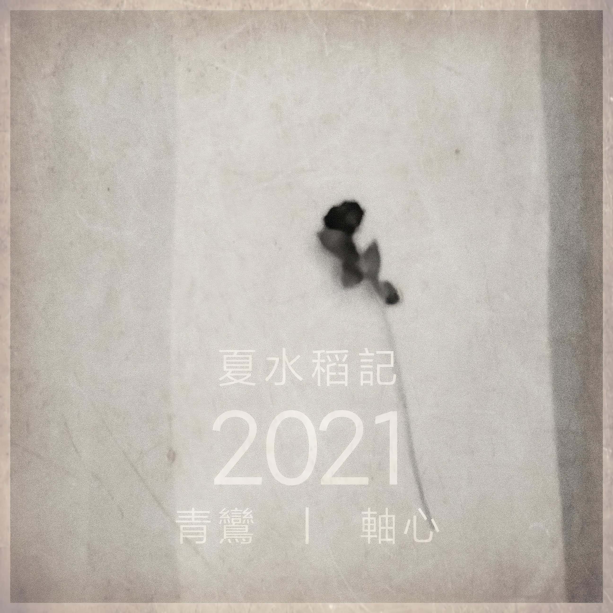 夏水稻记
