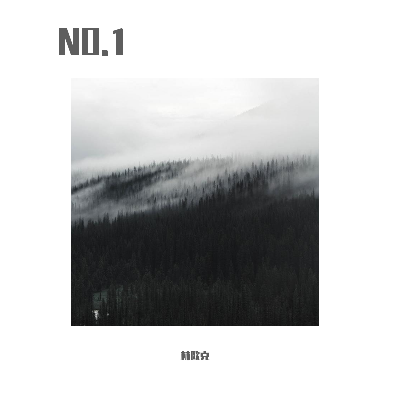 NO.1