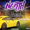 Fleegang - North