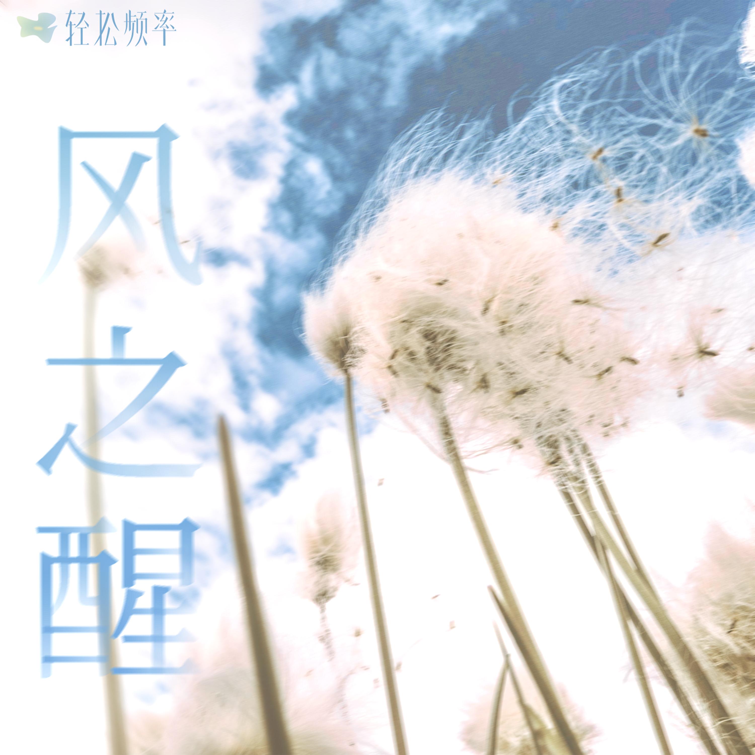风之醒