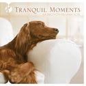 Tranquil Moments专辑