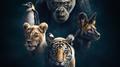 Dynasties (Original Television Soundtrack)专辑