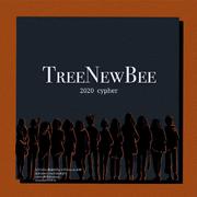 树新蜂TreeNewBee 2020Cypher