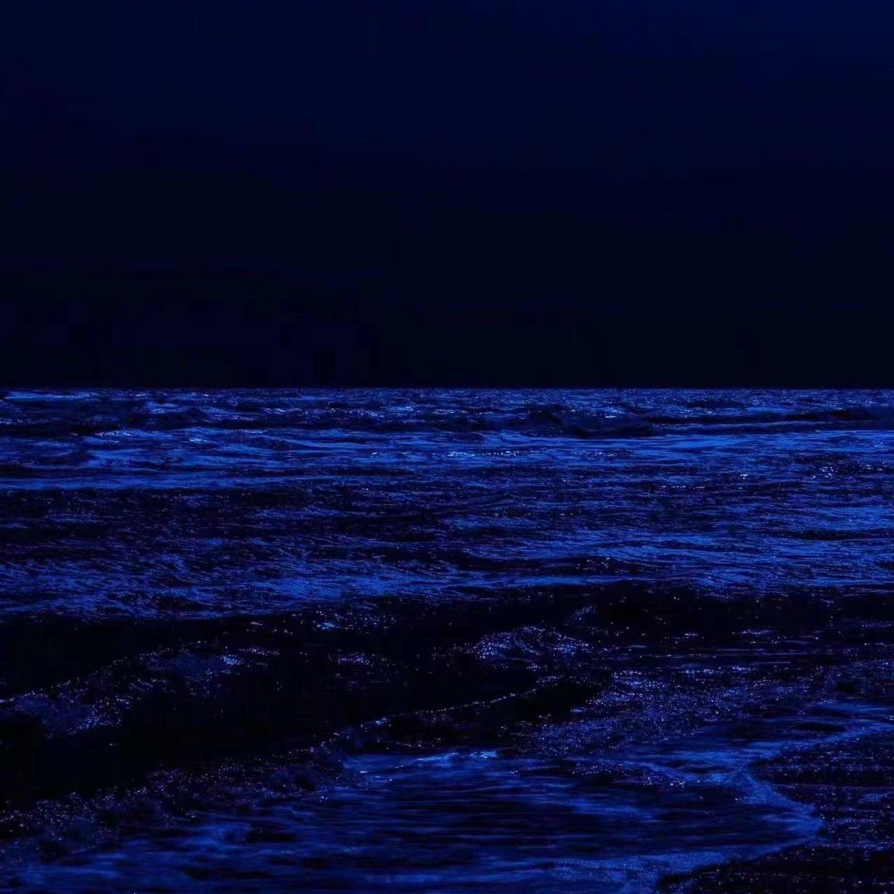 对白书---墨鸦白凤同人曲