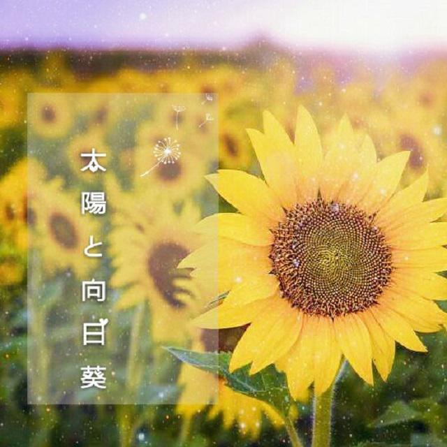 兔子ST - 太陽と向日葵（翻自 Flower）